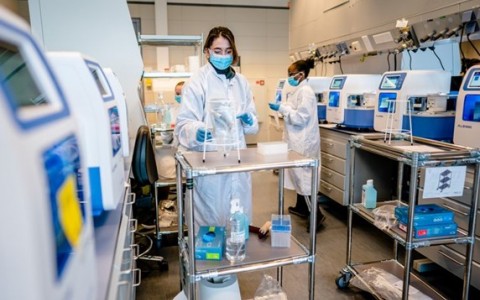 Het hoogvolumelaboratorium van Eurofins in Rijswijk. Het lab kan tienduizenden tests per dag verwerken. Beeld Bart Maat